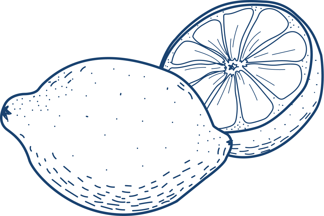 Illustrazione stilizzata di limone intero bianco con contorno blu e fetta di limone tratteggiata sullo sfondo.