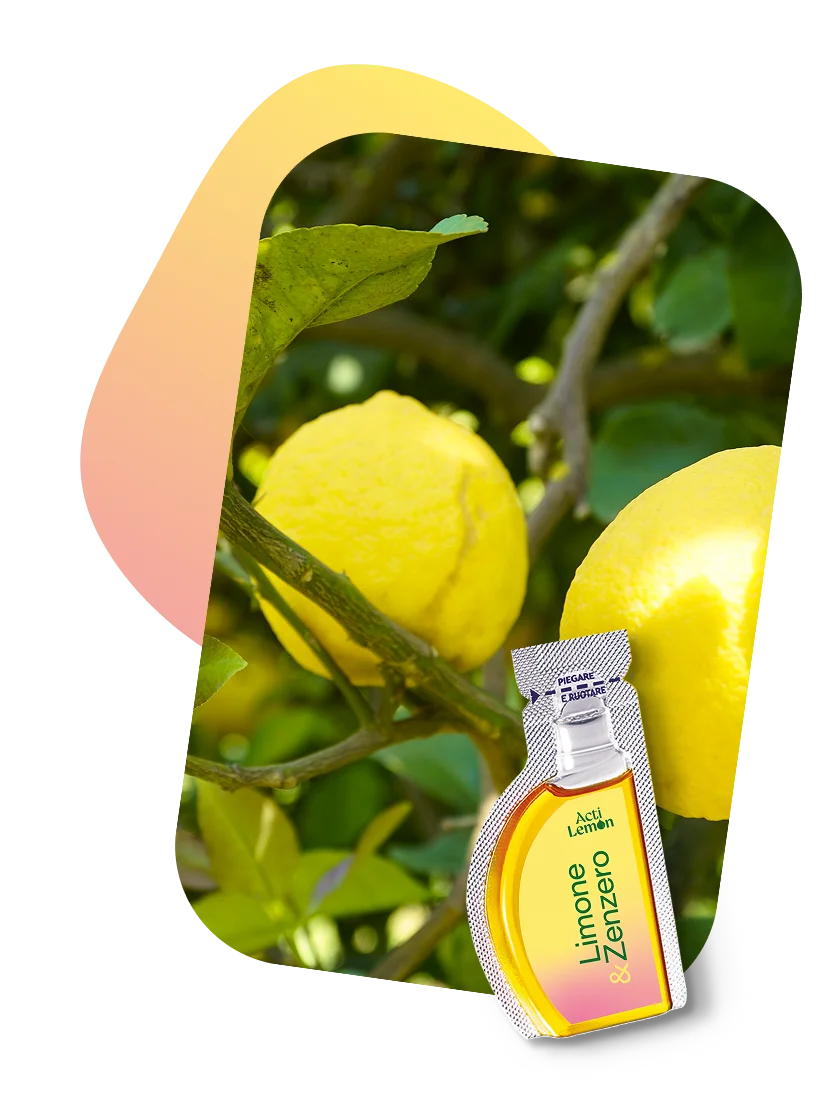 Due limoni di un giallo brillante su un ramo d’albero con foglie verdi, con in primo piano una bustina con l’etichetta “Limone & Zenzero” (Lemon & Ginger) in una confezione gialla e arancione.