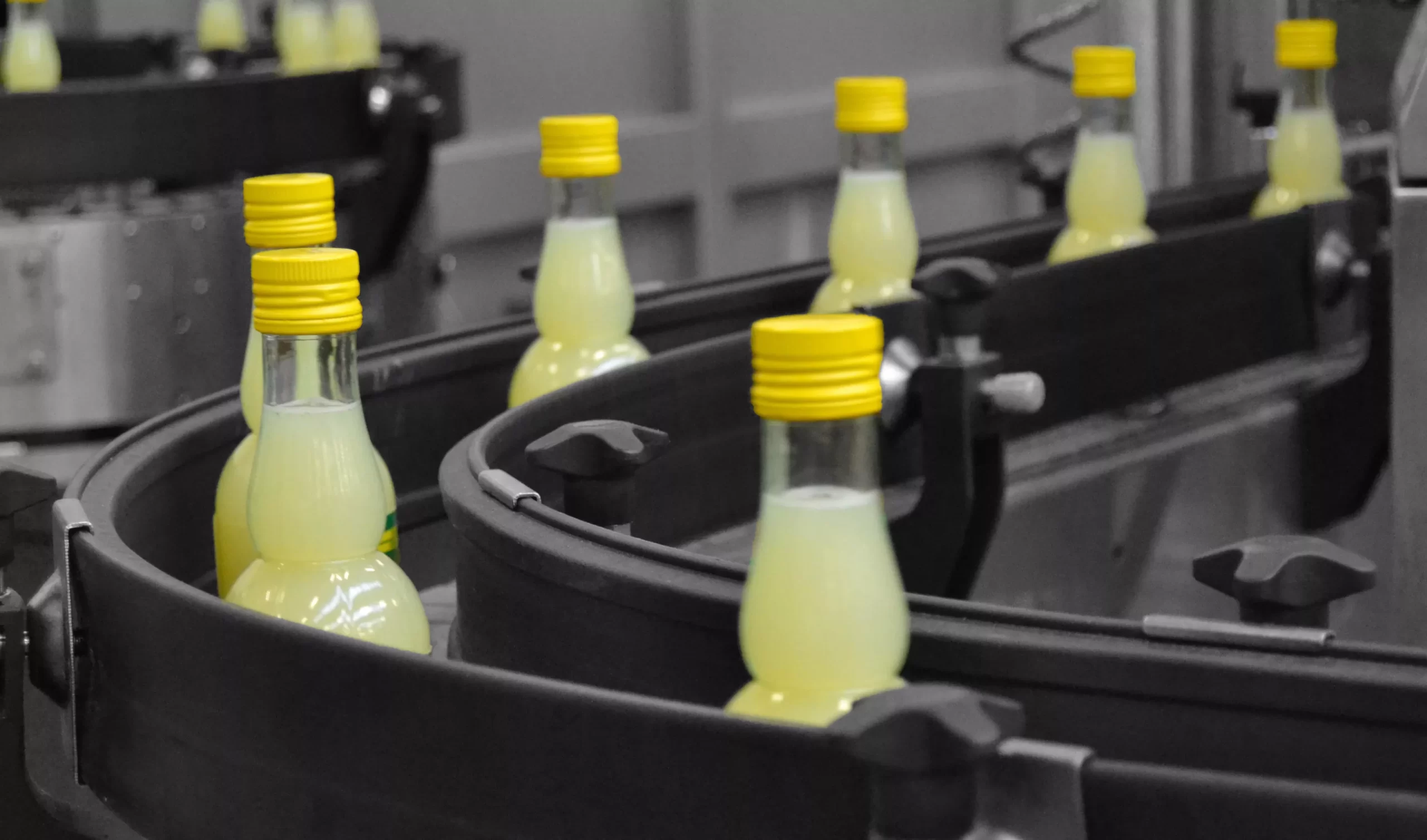 Diverse bottiglie di vetro con tappi gialli e un liquido giallo chiaro scorrono su un nastro trasportatore in un ambiente industriale.